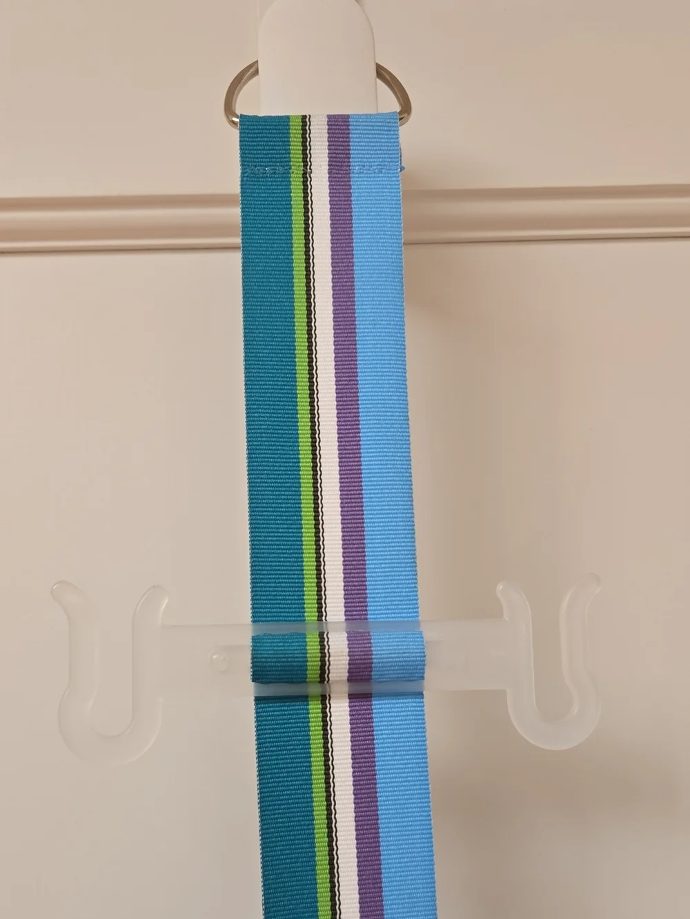CONTAINER STORE Flip Flop Storage Strap for 6 Pair